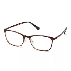 Lightweight Classic Plastic Eyeglasses #60955J