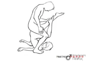 45 Στάσεις Του Σεξ στο Κρεβάτι με Εικόνες 20 Butter Churner