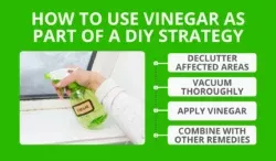 How To Use Vinegar As Part Of A DIY Strategy
