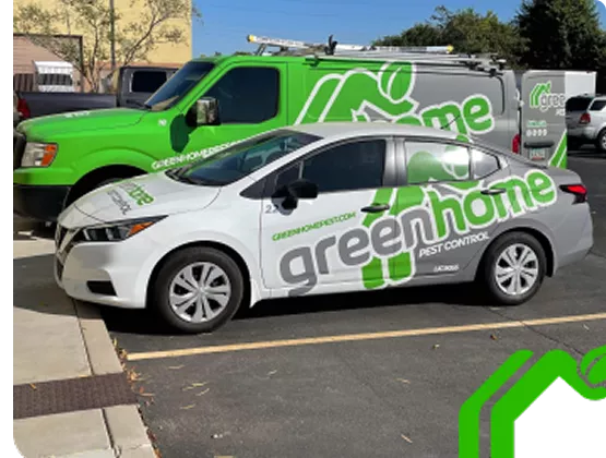 Green Home Pest Control in Phoenix, AZ