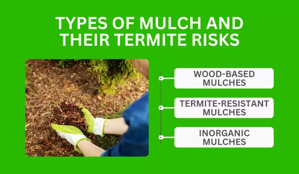 Types Of Mulch And Their Termite Risks