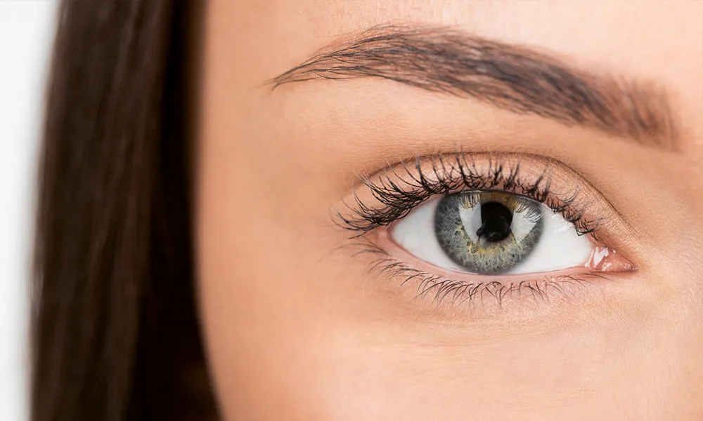 Eyebrow Transplant 2 eyebrow transplant image