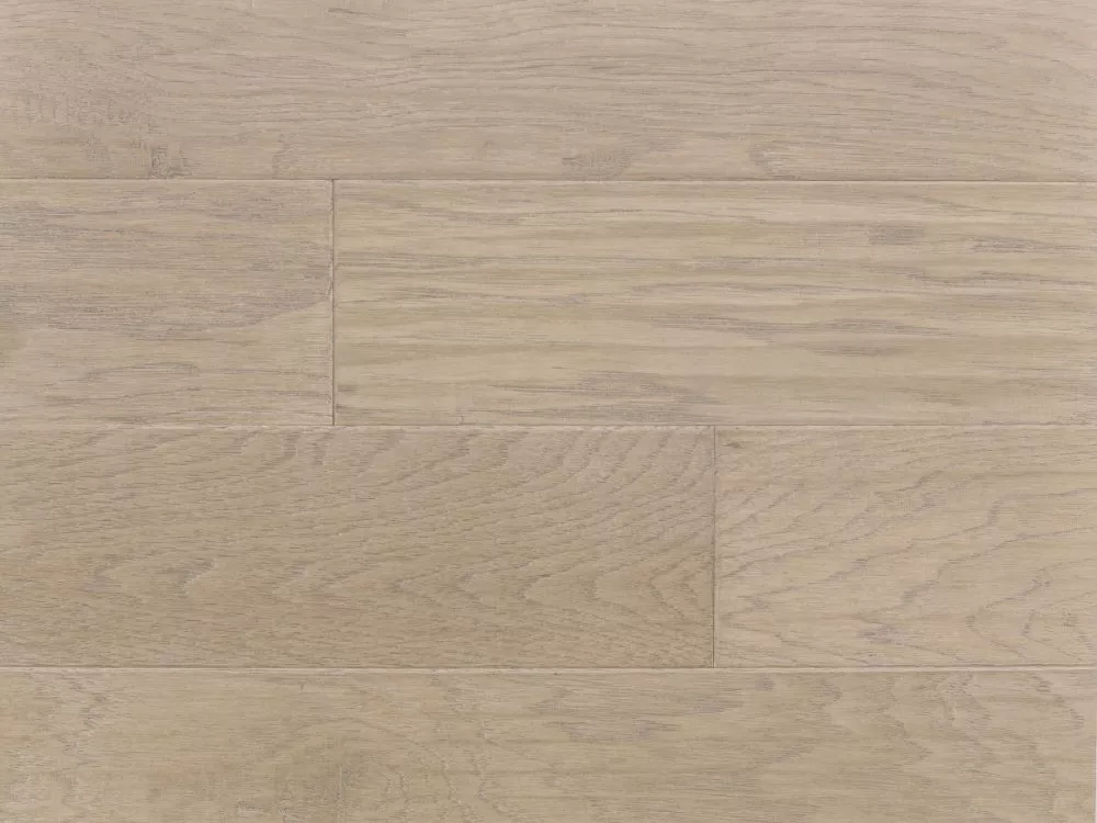 Floraページ 796238_J8540_8000_009_100_0000