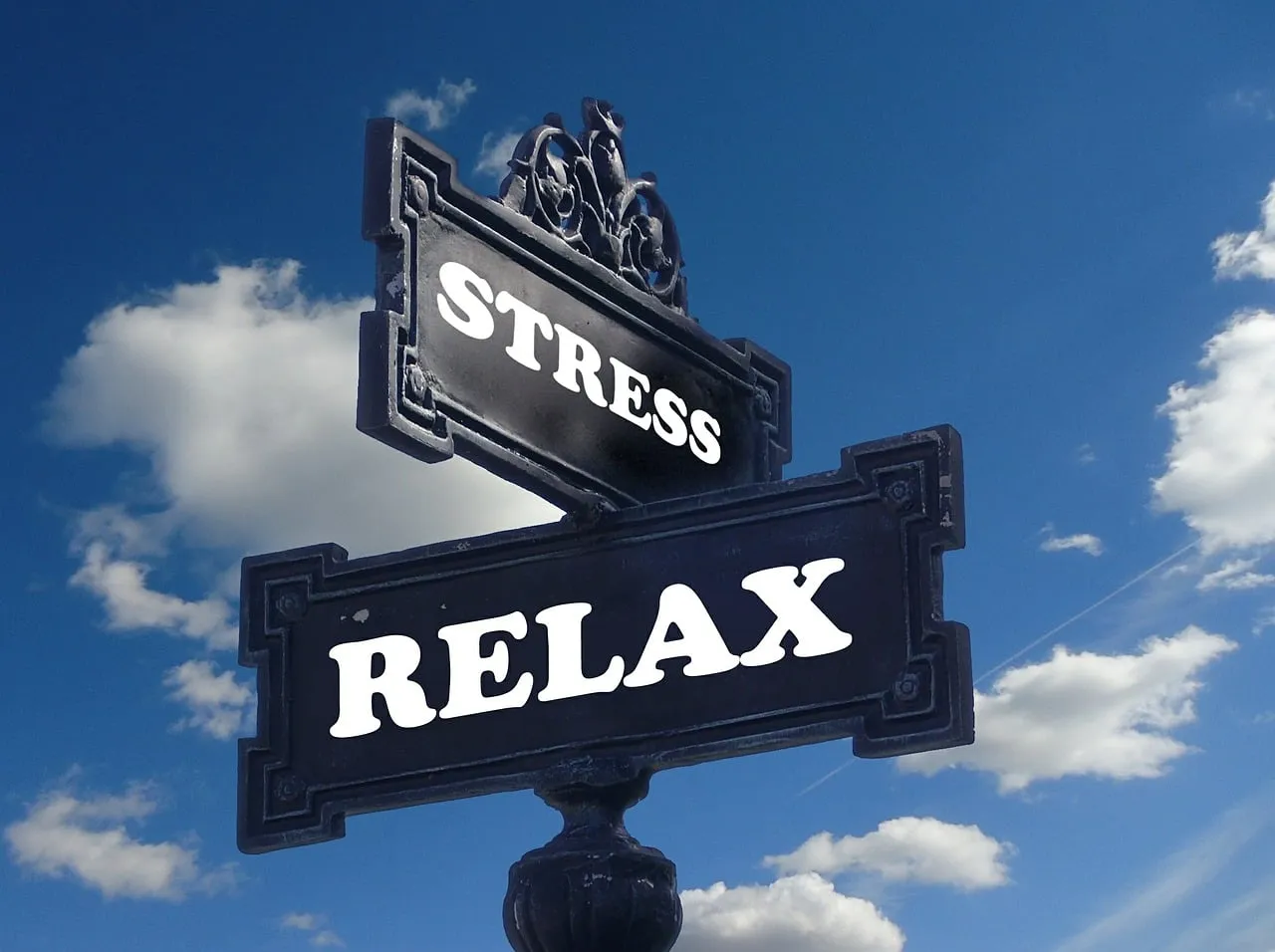 Is Hair Loss Genetic ? Free stress relaxation relax illustration