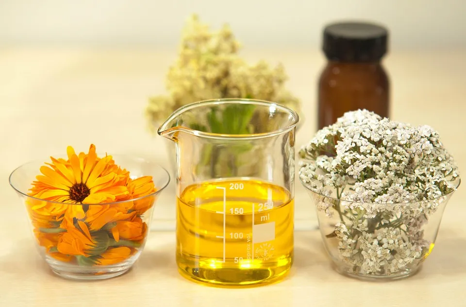 8 Natural Remedies for Hair Loss Free photos of Filipendula ulmaria