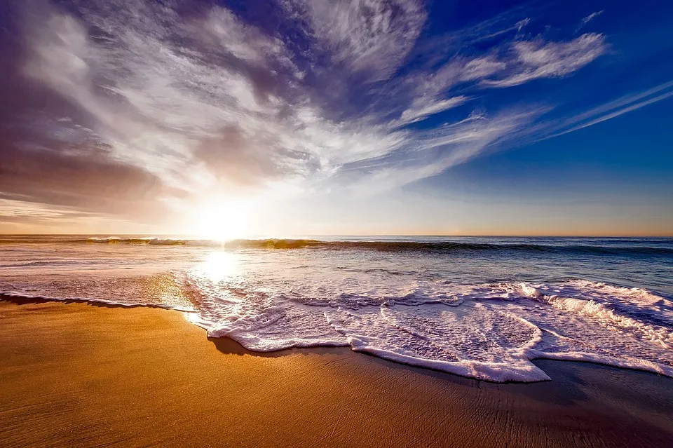 Vitamin D and Hair Loss Free photos of Beach