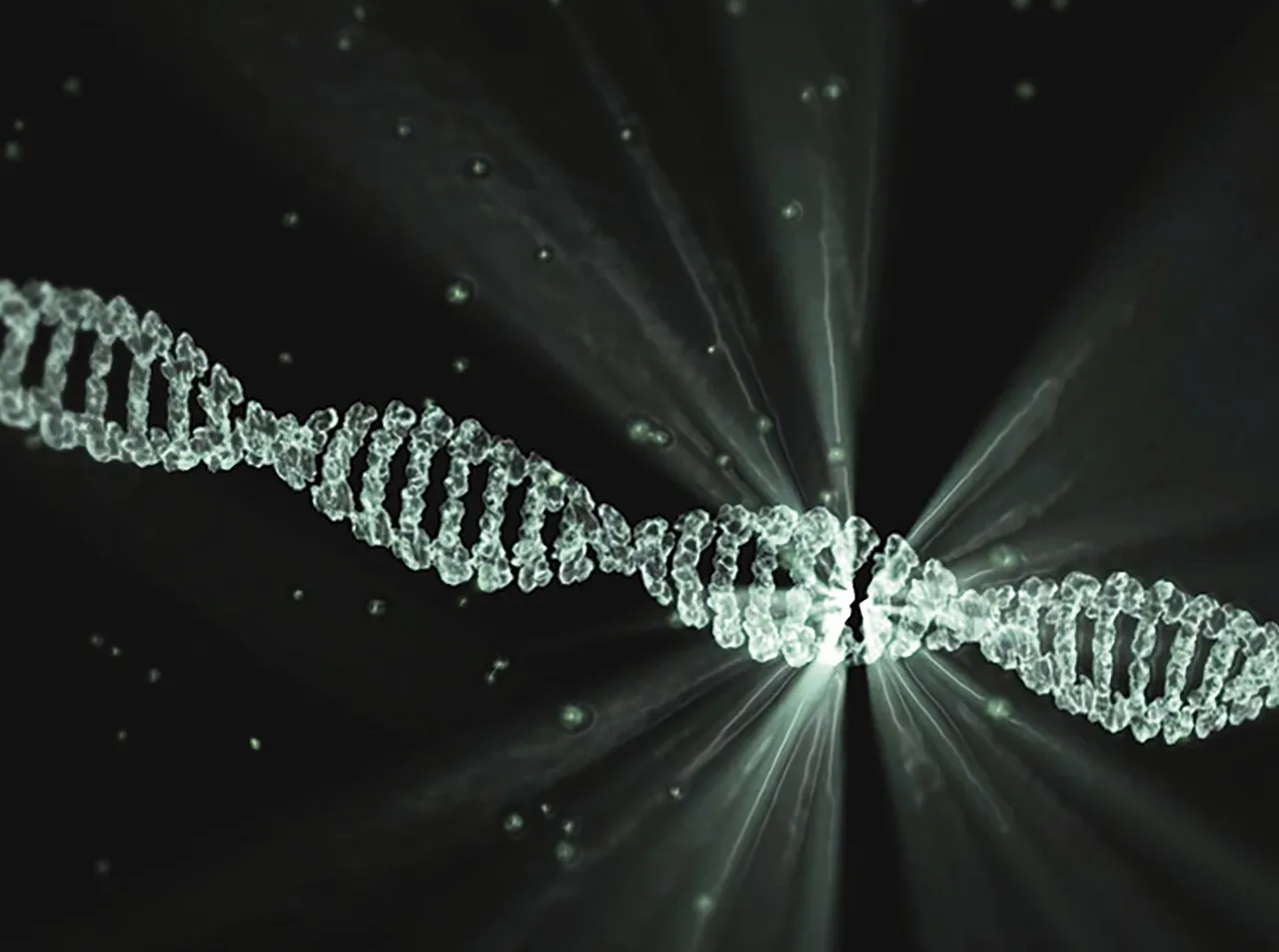 Is There a Cure For Baldness? Free Dna Project Lumina photo and picture