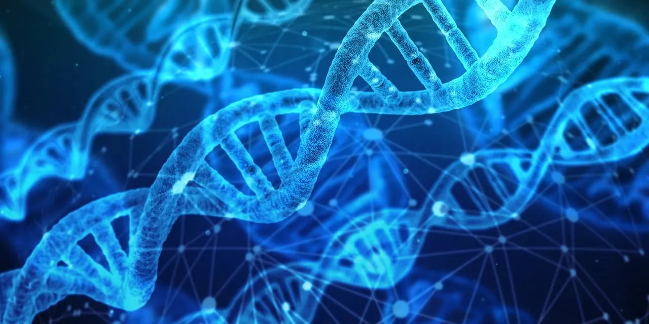 Is Hair Loss Genetic ? Free dna analysis research illustration