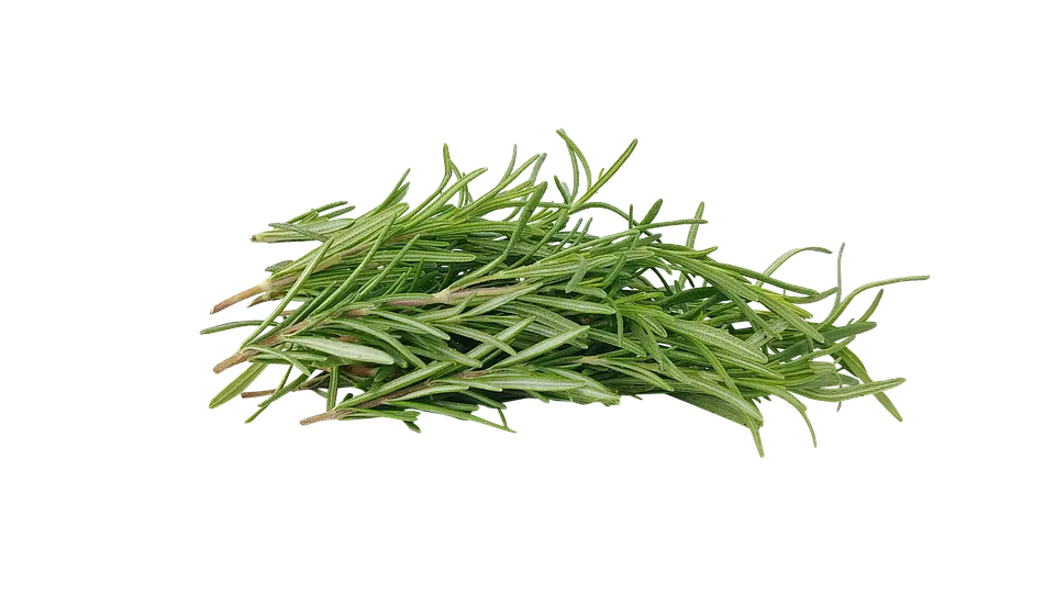 8 Natural Remedies for Hair Loss Free photos of Rosemary