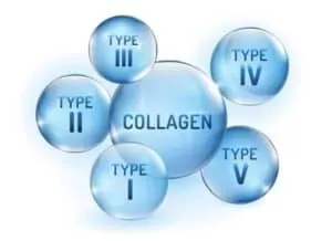 Collagen for Hair Growth Collagen types