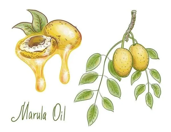 Marula Oil For Hair marula oil for hair growth