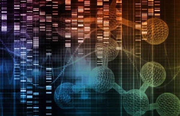Stem Cell Hair Transplants vs Stem Cell Hair Treatments: What's the Difference? stem cell hair transplant research