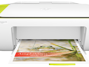 HP DeskJet Ink Advantage 2135 All-in-One Printer