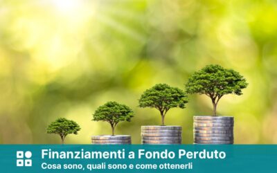 Finanziamenti a Fondo Perduto 2026: Bandi Aperti e Come Presentare Domanda