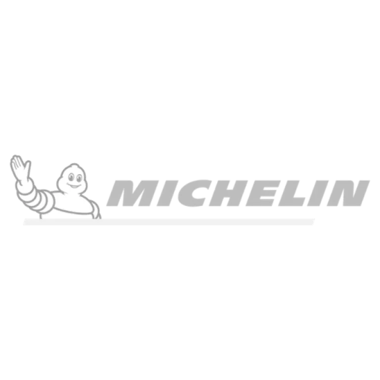 michelin logo