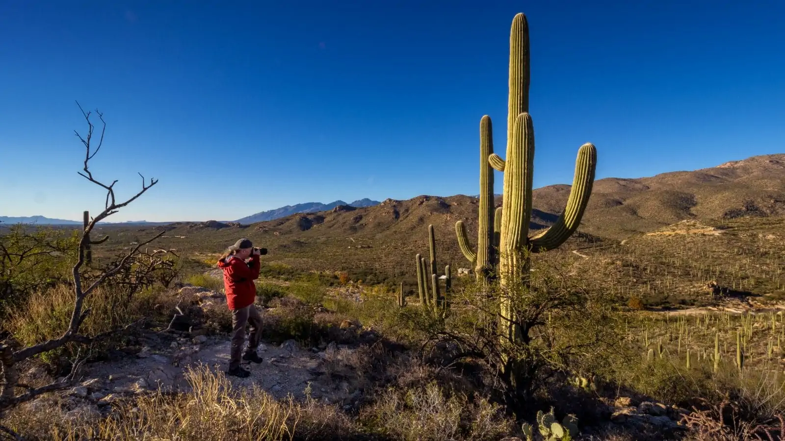 Shooting Cowboys and Cacti in the Arizona Desert