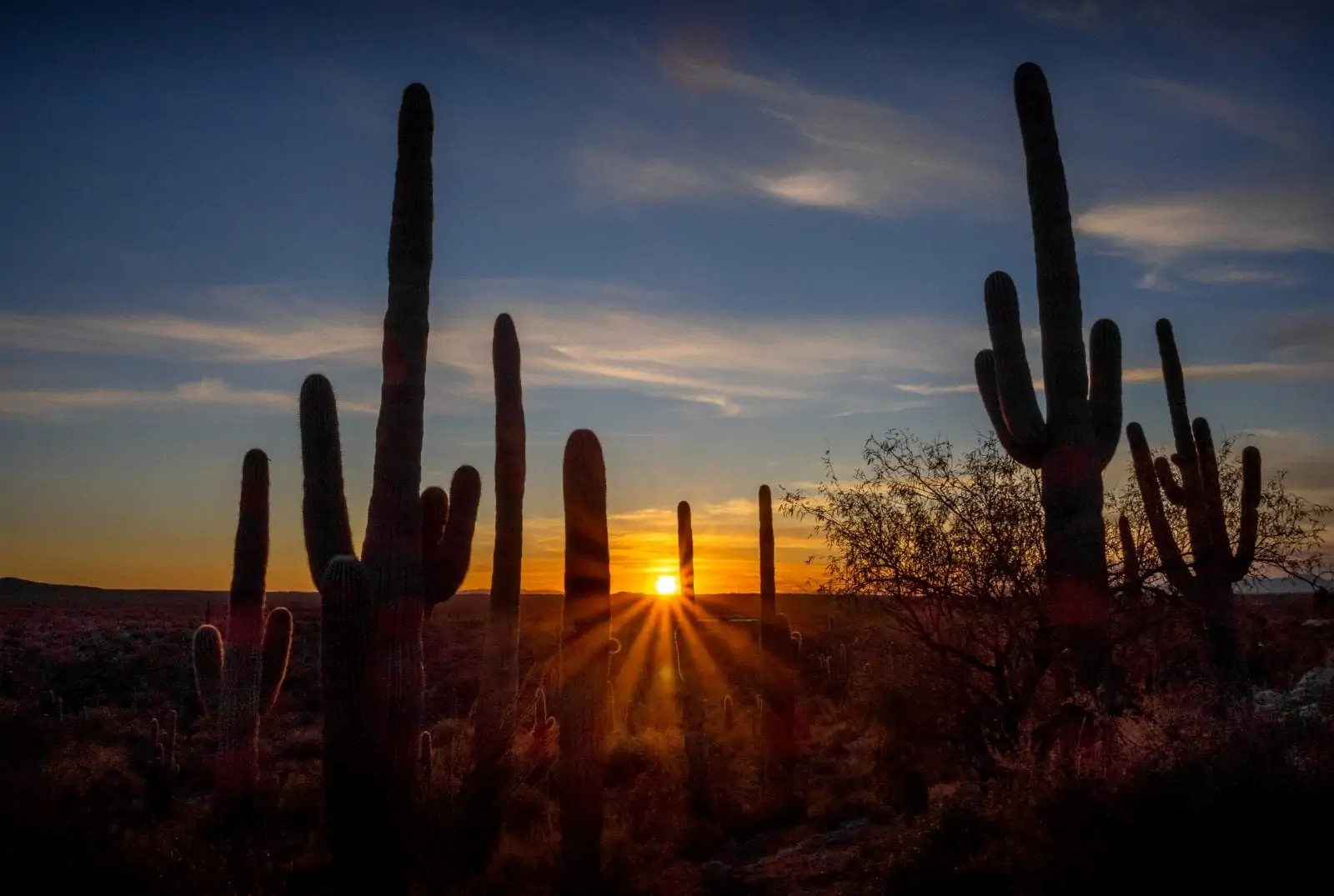 Shooting Cowboys and Cacti in the Arizona Desert