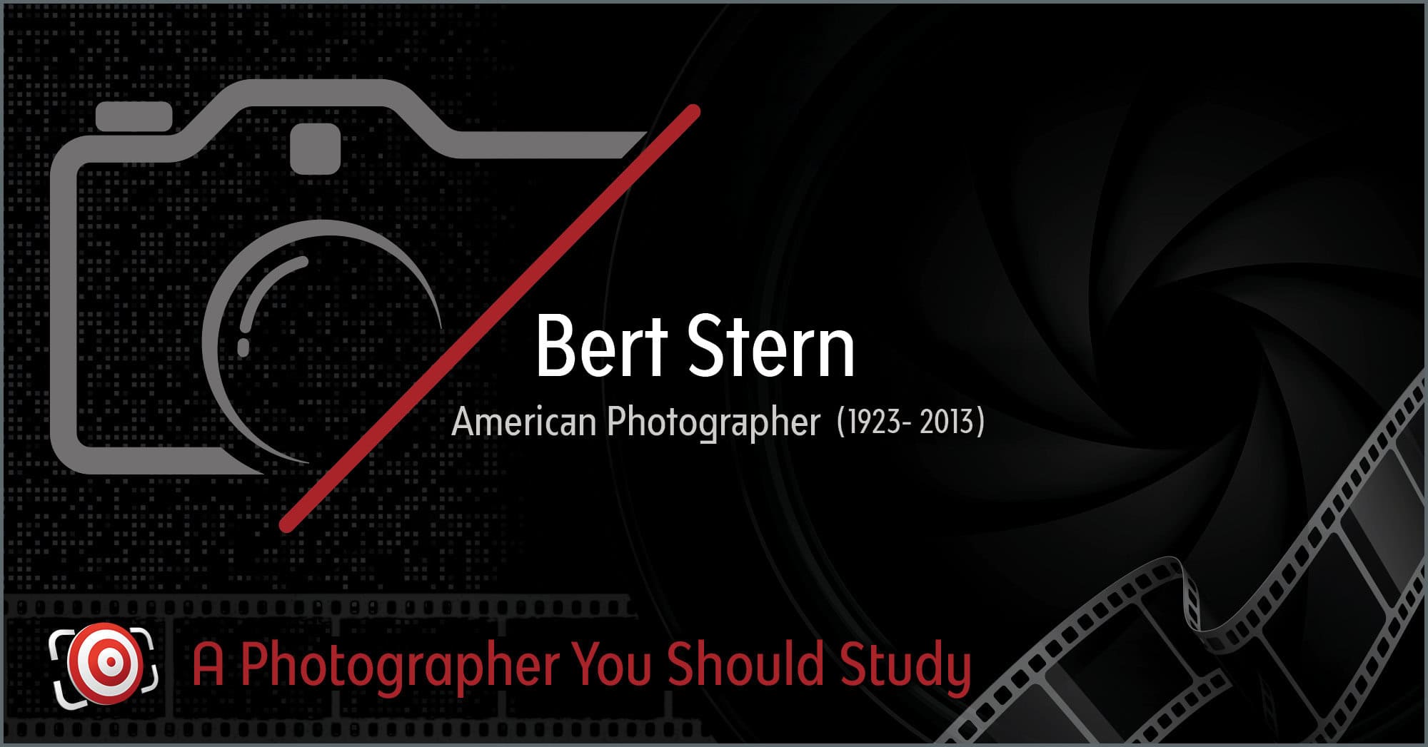 Bert Stern Fotografie Portfolio 49(洋書) Bert Stern Fotografie