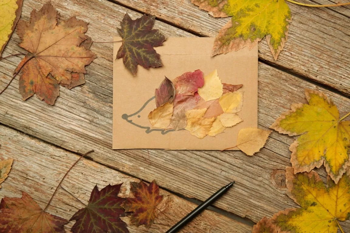 Quels bricolages d'automne faire avec des feuilles d'arbre ? - La Compagnie  des Petits, image size:1152x768