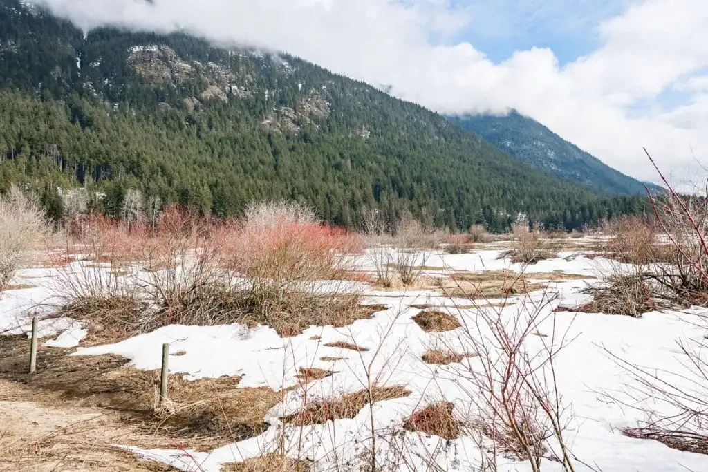 Snow-covered meadow with scattered shrubs and small streams, set against a forested mountain slope under a partly cloudy sky—perfect for discovering things to do in Sunshine Valley.