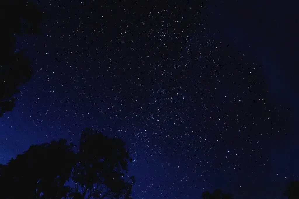 A dark night sky filled with many visible stars, with silhouettes of tree branches at the bottom of the image—perfect for stargazing, one of the best things to do in Sunshine Valley.