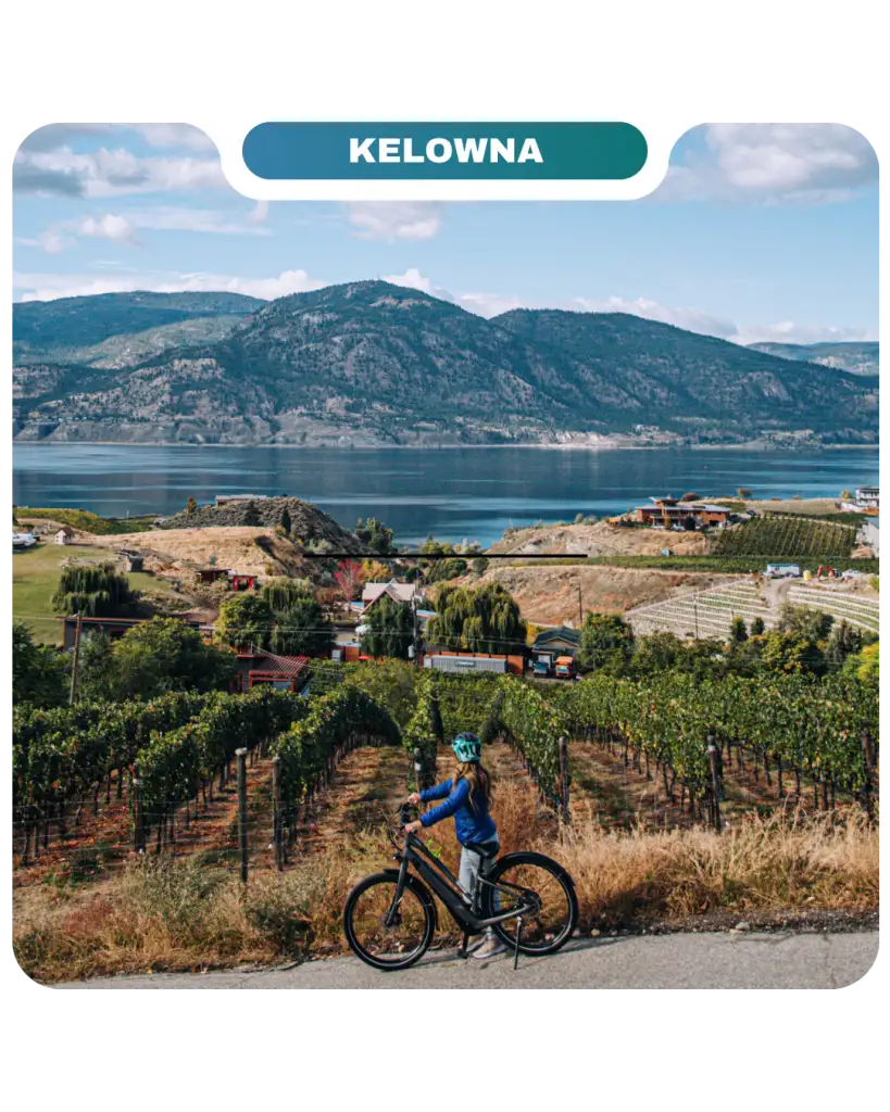 A person with a bicycle stands on a path overlooking vineyards, a lake, and majestic mountains under Kelowna’s blue sky—embracing the Lifty Life.