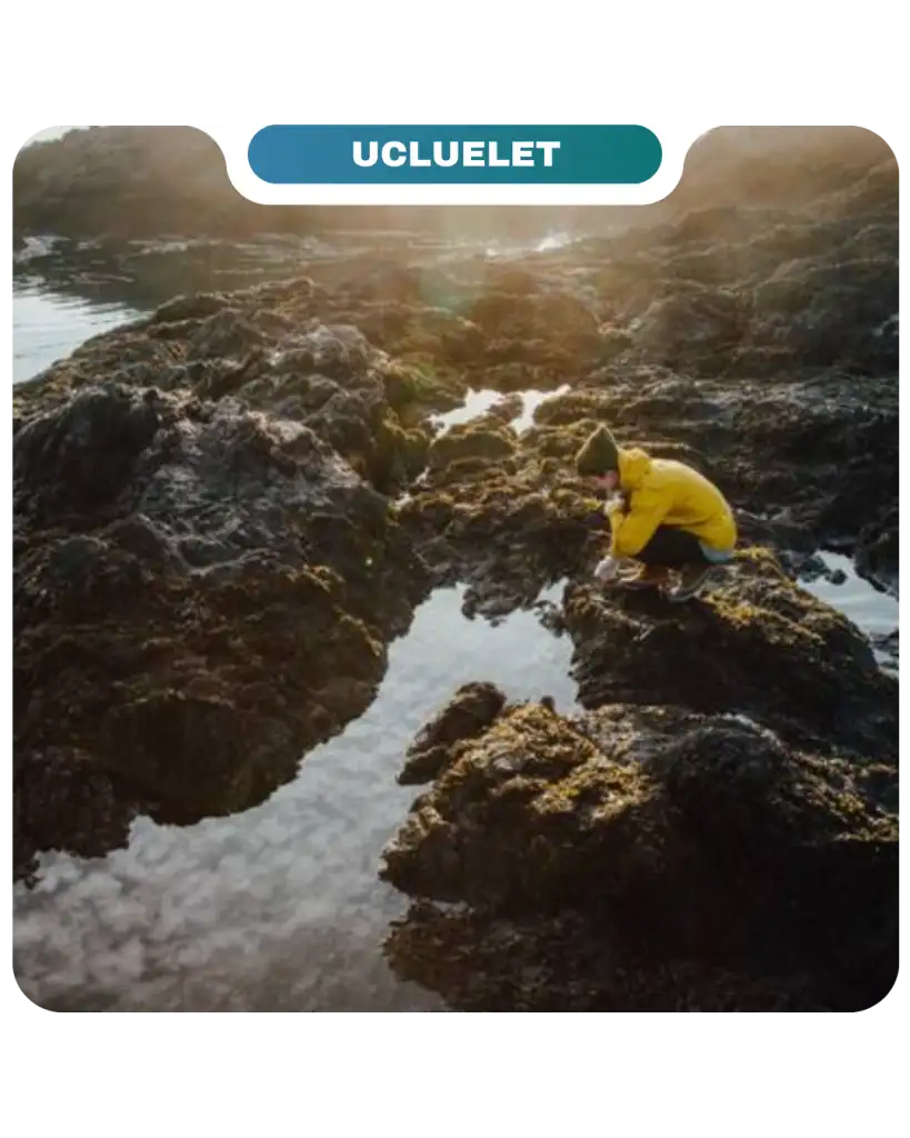 Person in yellow jacket crouches on rocky shoreline beside a tidal pool under cloudy sky, with a sign reading "Ucluelet" above the image—a perfect scene for Lifty Life adventurers seeking coastal exploration.