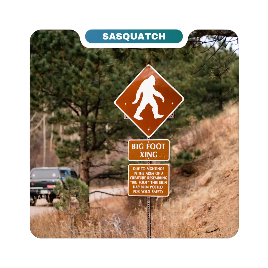 Brown "Big Foot Xing" road sign with a silhouette of Bigfoot; car driving on road in a forested area—humorous warning about potential sightings for curious destinations seekers and local homeowners alike.
