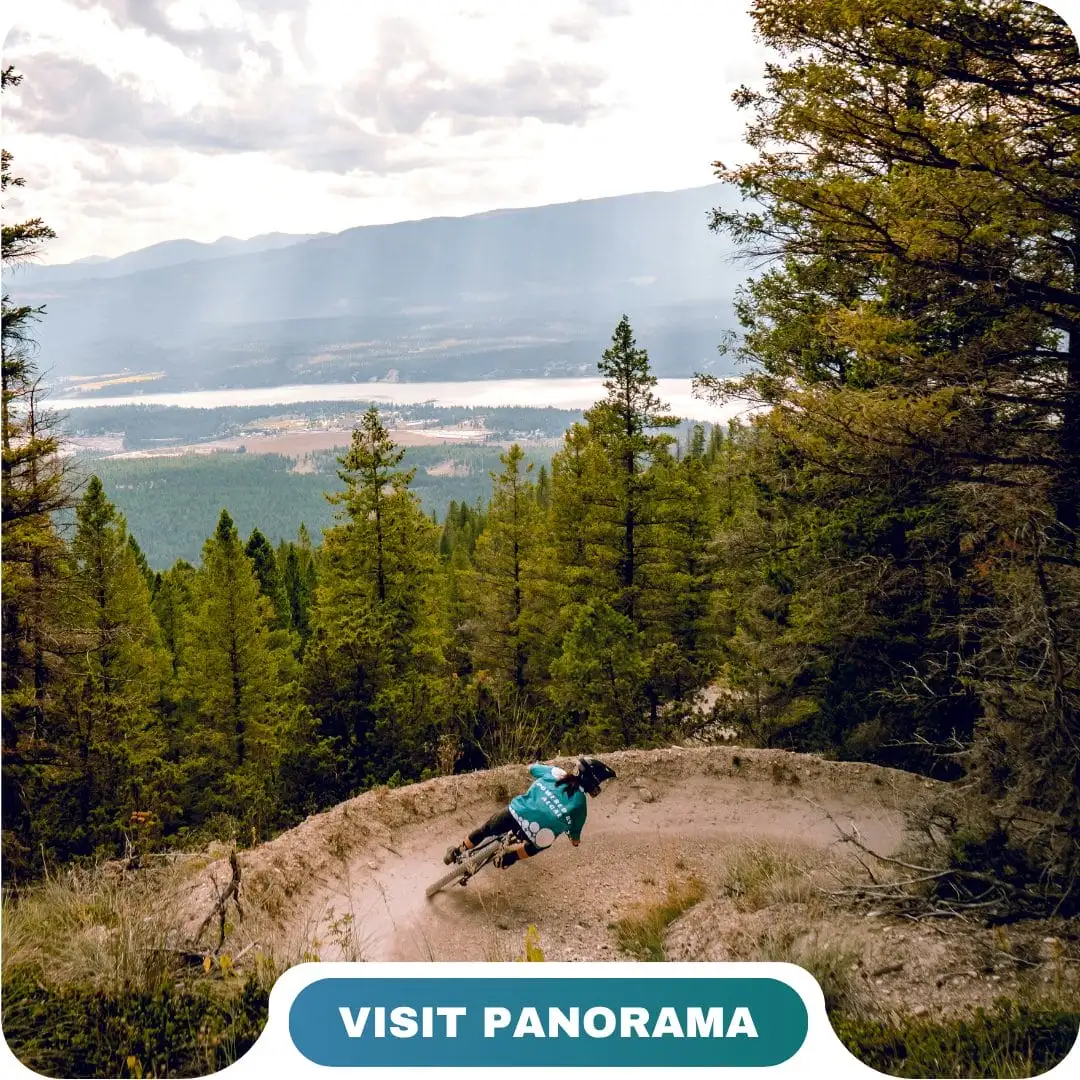 A mountain biker rides down a dirt trail surrounded by trees with a scenic valley and mountains in the background. Text reads "VISIT PANORAMA. Experience the Lifty Life.
