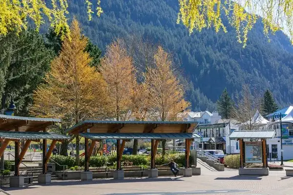 Open plaza with wooden shelters, benches, and landscaped plants; a perfect spot to enjoy Fall in Harrison Hot Springs, with trees sporting yellow leaves and green mountains in the background.