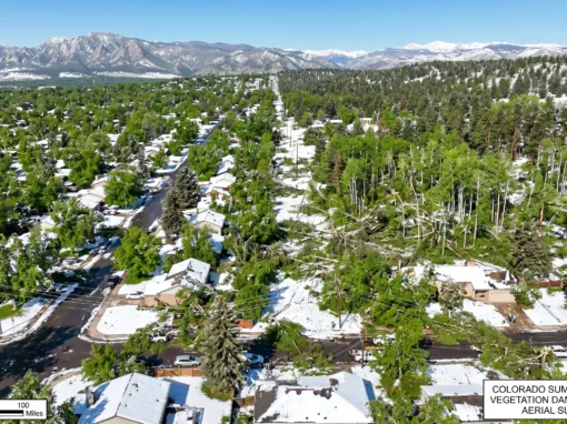 Denver’s Green Canopy Reeling After Unexpected Spring Blizzard Denver’s Green Canopy Reeling After Unexpected Spring Blizzard