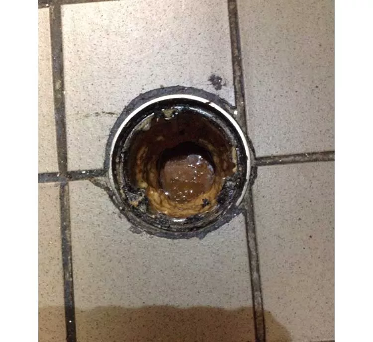 Commercial drain stoppaget