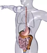 Σβήσε την Καούρα 5 peptiko systima