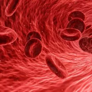 Κάνε το Αίμα σου να Βράζει 4 aima-roi