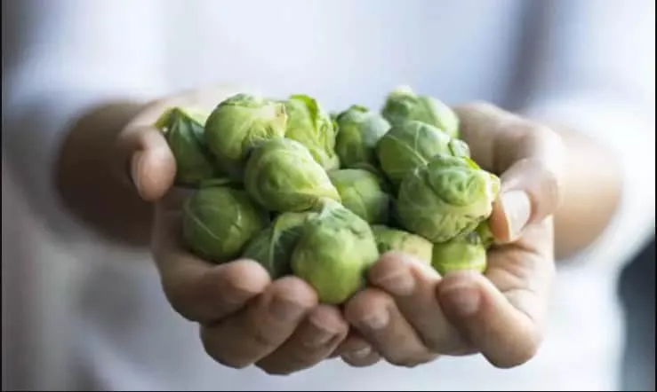 Ξεχασμένοι Θησαυροί - τροφές, λαχανάκια βρυξελλών, Σπανάκι, Αβοκάντο, Κανέλα, Χουρμάδες 7 laxanakia