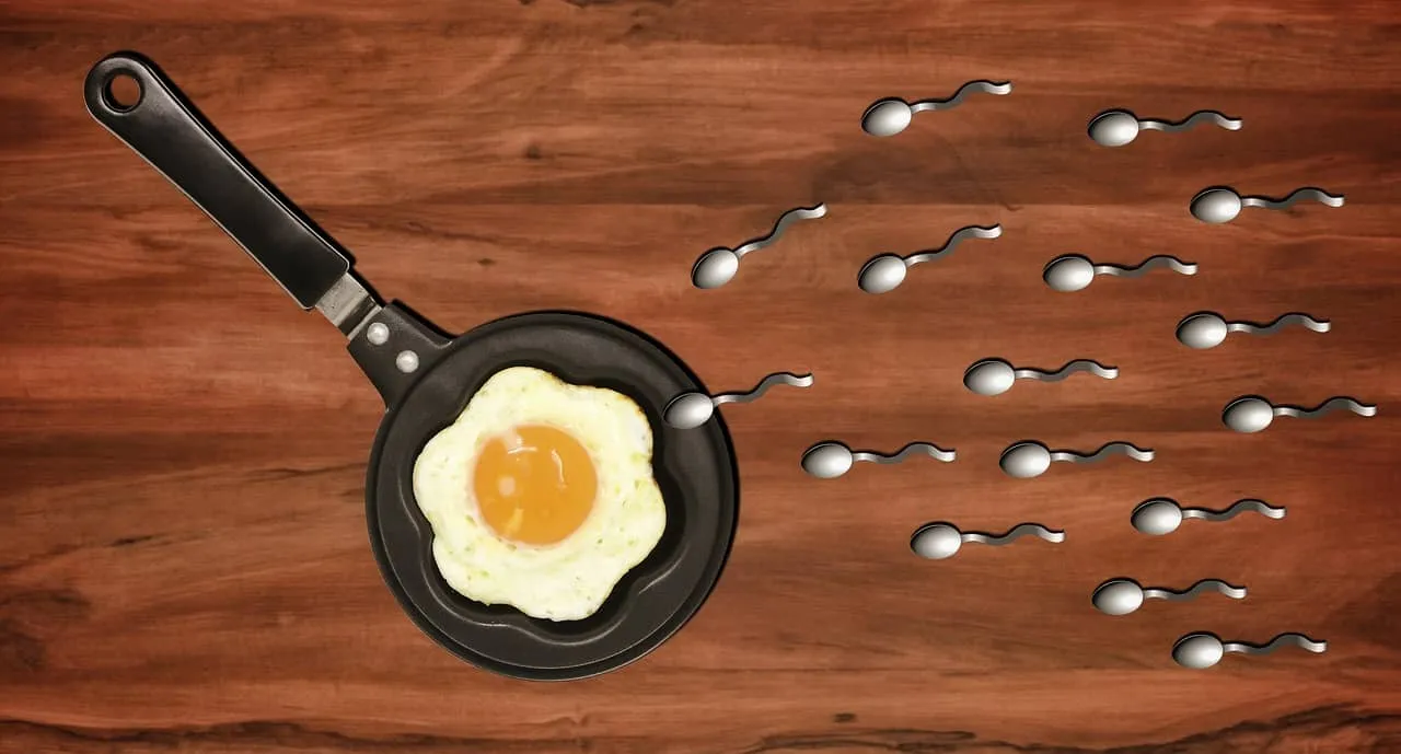 Είναι ο όγκος του σπέρματός σας φυσιολογικός; 7 Ογκος Σπέρματος