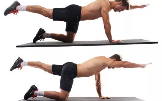 Πως θα κάνετε το Bird Dog 2 bird dog