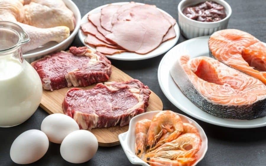 trofes plousies se proteini