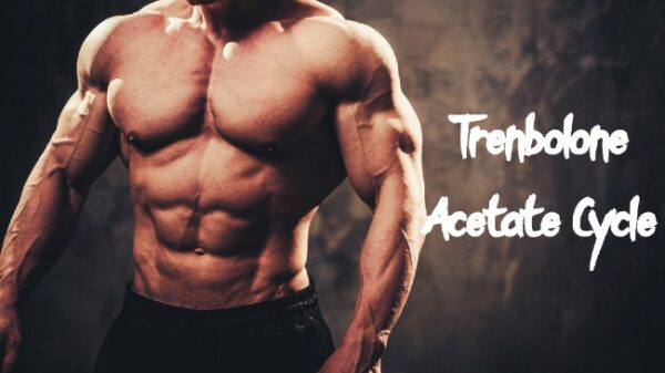 Trenbolone Acetate Cycle
