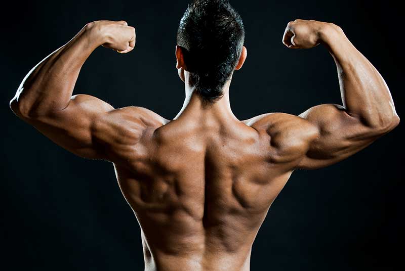 bodybuilding