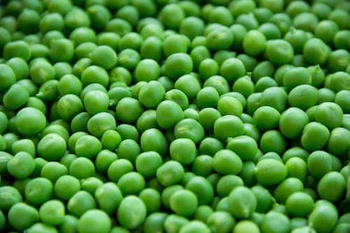 beans