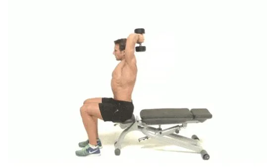 2.One Arm Tricep Extension seated