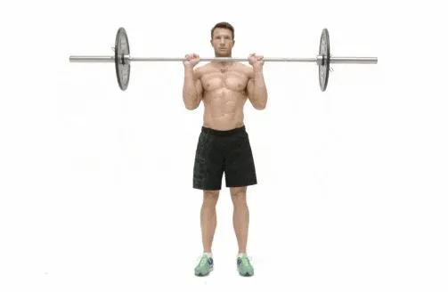 4 reverse Barbell Bicep Curl