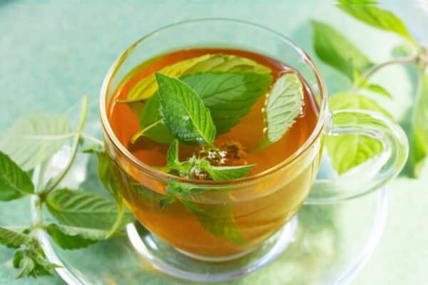 Γαστρεντερίτιδα διατροφή 5 4.mint tea