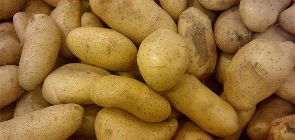 Food Think potatoes sickness