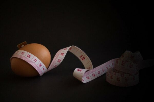 egg mezuree