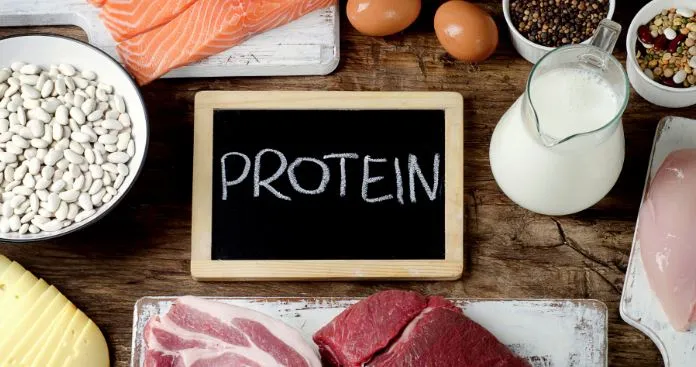 protein 1