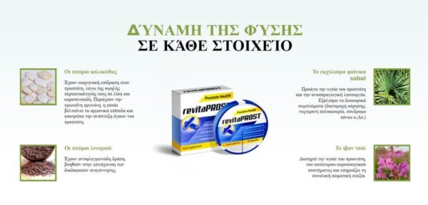 revitaprost systatika