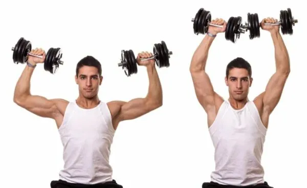 5 shoulder press