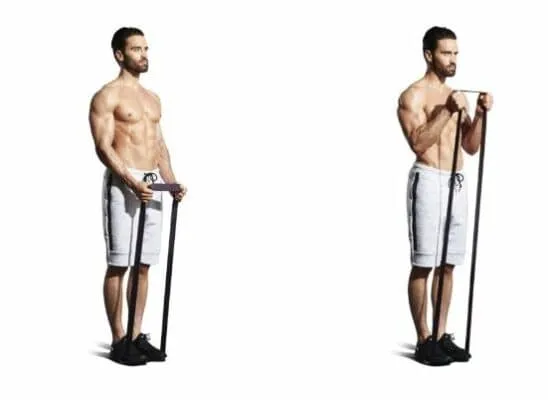 8. band hammer curl